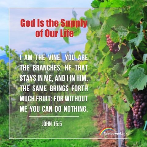 Explanation of John 15:5 - True Meaning of “I Am the Vine, You Are the ...