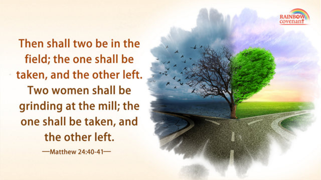 One Shall be Taken, and the Other Left - Matthew 24:40-41