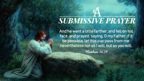 A Submissive Prayer—A Commentary On Matthew 26:39