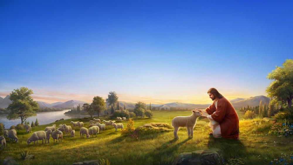 Lesson About Parable Of The Lost Sheep