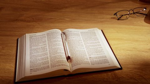 the bible tells me so why defending scripture has made us unable to read it